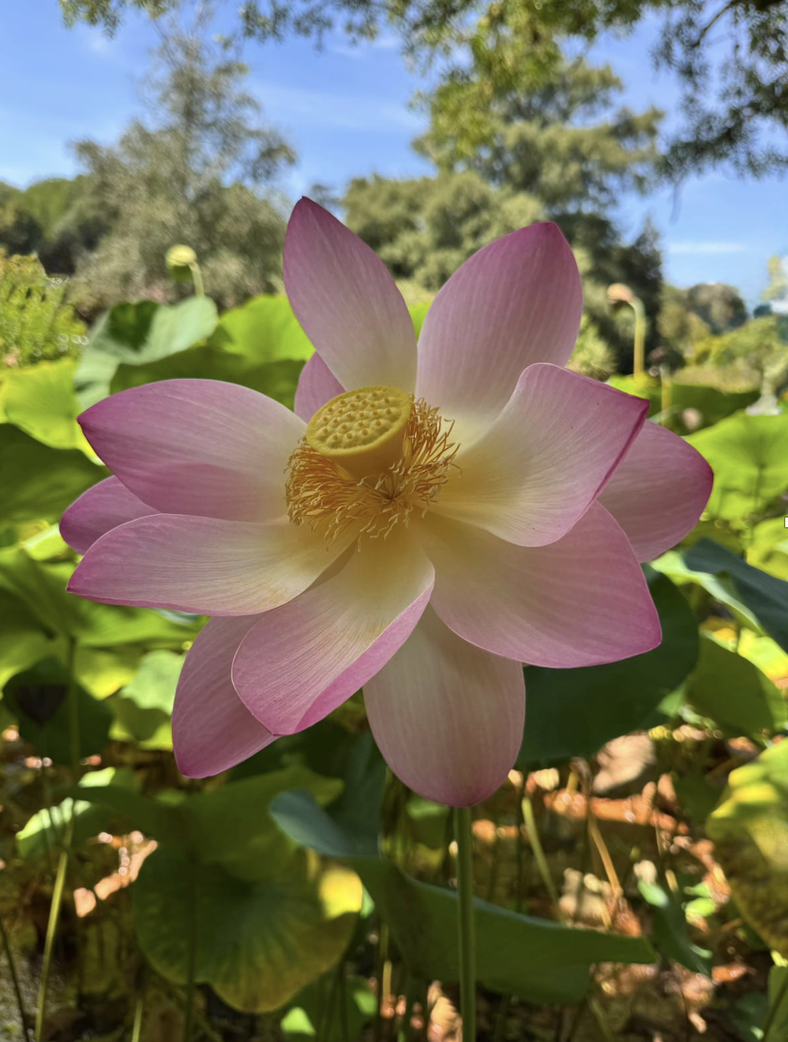 Séance de coaching individuel